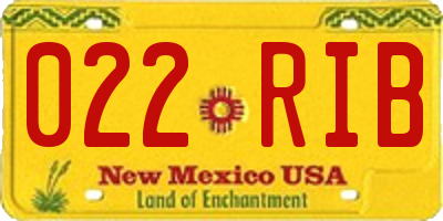 NM license plate 022RIB