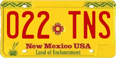 NM license plate 022TNS