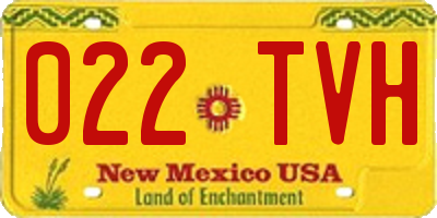 NM license plate 022TVH