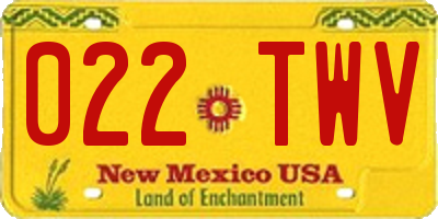 NM license plate 022TWV