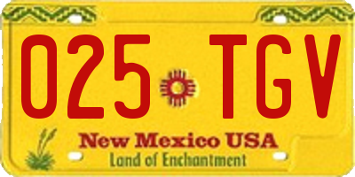 NM license plate 025TGV