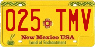 NM license plate 025TMV