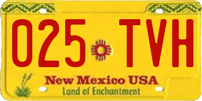 NM license plate 025TVH
