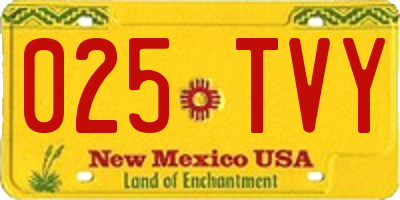 NM license plate 025TVY