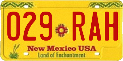 NM license plate 029RAH