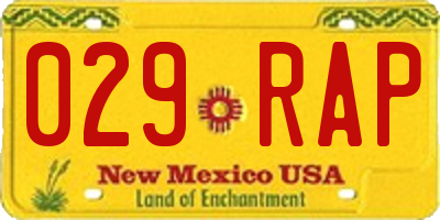 NM license plate 029RAP