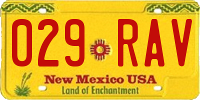 NM license plate 029RAV