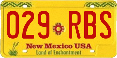 NM license plate 029RBS