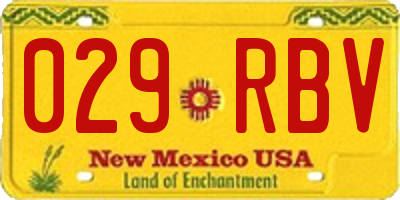 NM license plate 029RBV