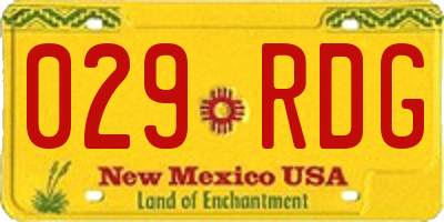 NM license plate 029RDG