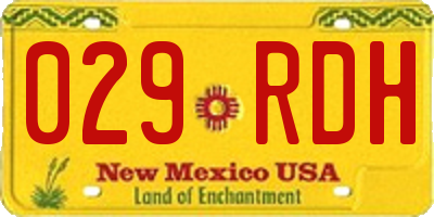 NM license plate 029RDH