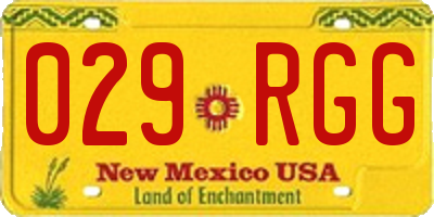 NM license plate 029RGG