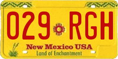 NM license plate 029RGH