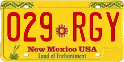 NM license plate 029RGY