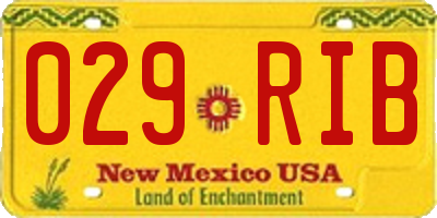 NM license plate 029RIB