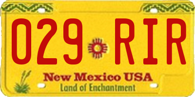NM license plate 029RIR