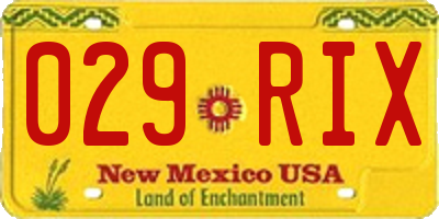 NM license plate 029RIX