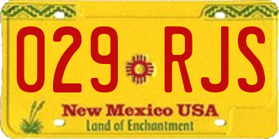 NM license plate 029RJS