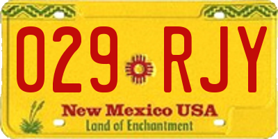 NM license plate 029RJY