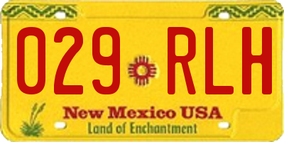 NM license plate 029RLH