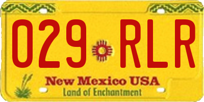 NM license plate 029RLR