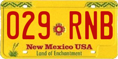 NM license plate 029RNB