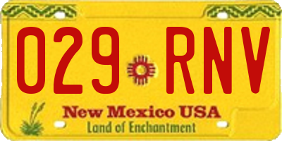 NM license plate 029RNV