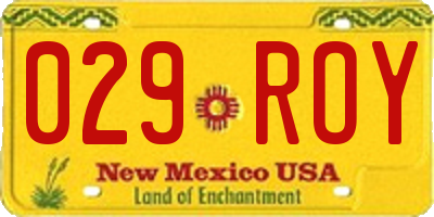 NM license plate 029ROY