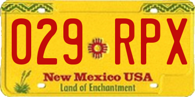 NM license plate 029RPX
