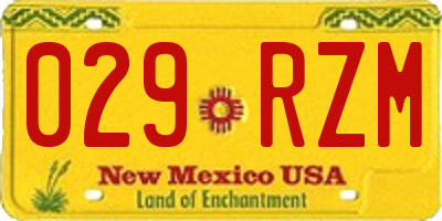 NM license plate 029RZM