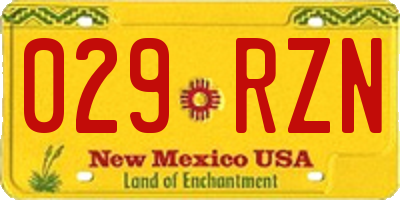 NM license plate 029RZN