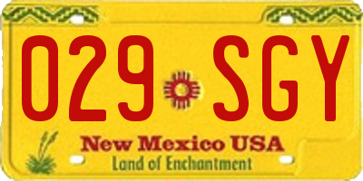 NM license plate 029SGY