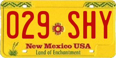 NM license plate 029SHY