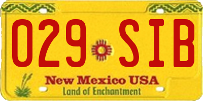 NM license plate 029SIB