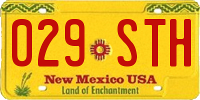 NM license plate 029STH