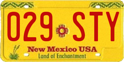 NM license plate 029STY
