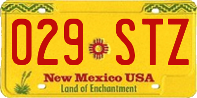 NM license plate 029STZ