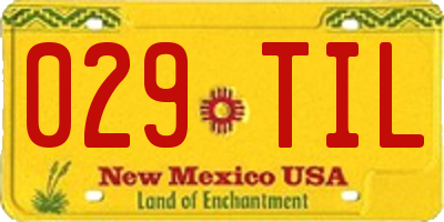 NM license plate 029TIL