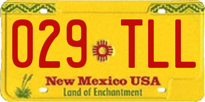 NM license plate 029TLL
