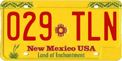 NM license plate 029TLN