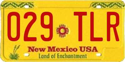 NM license plate 029TLR