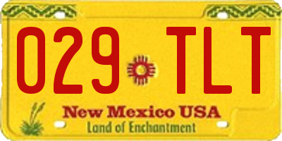 NM license plate 029TLT