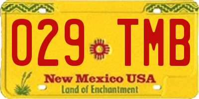 NM license plate 029TMB