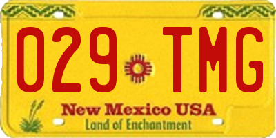 NM license plate 029TMG