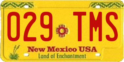 NM license plate 029TMS