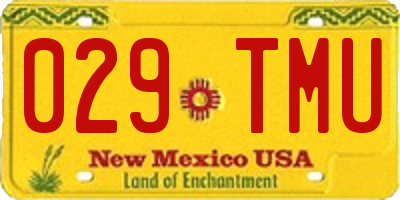 NM license plate 029TMU