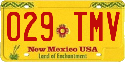 NM license plate 029TMV