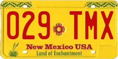 NM license plate 029TMX