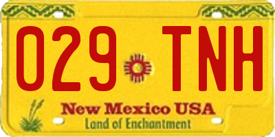 NM license plate 029TNH