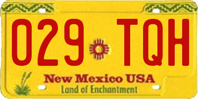 NM license plate 029TQH